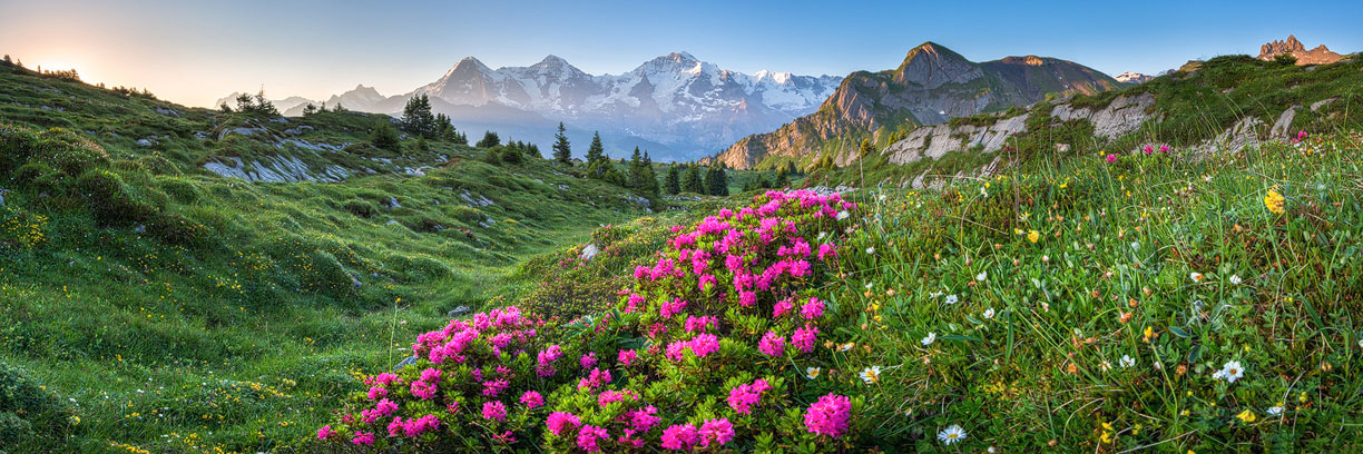 Frühling